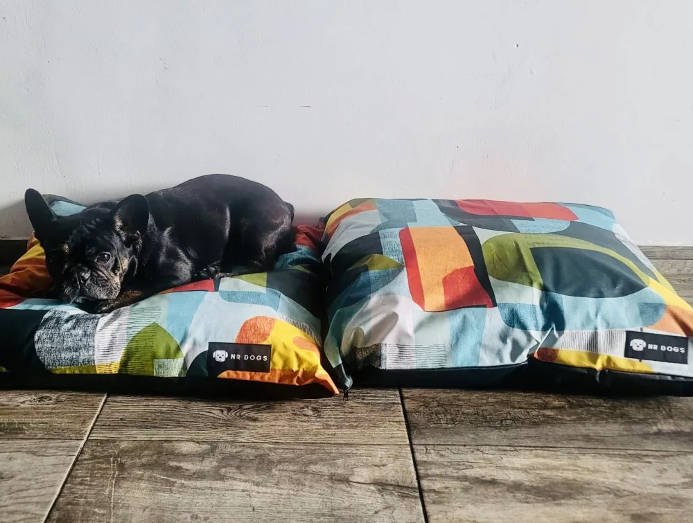 NRDOGS BASIC KUTYAFEKHELY ABBA COLOR - Image 3