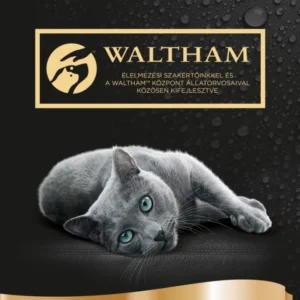 Sheba Mini 15x50g szárnyas Multipack