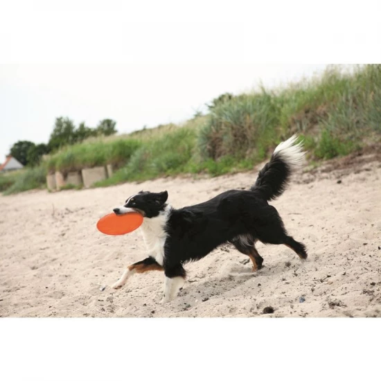 Trixie Játék Dog Disc Hőre Lágyuló - Image 4