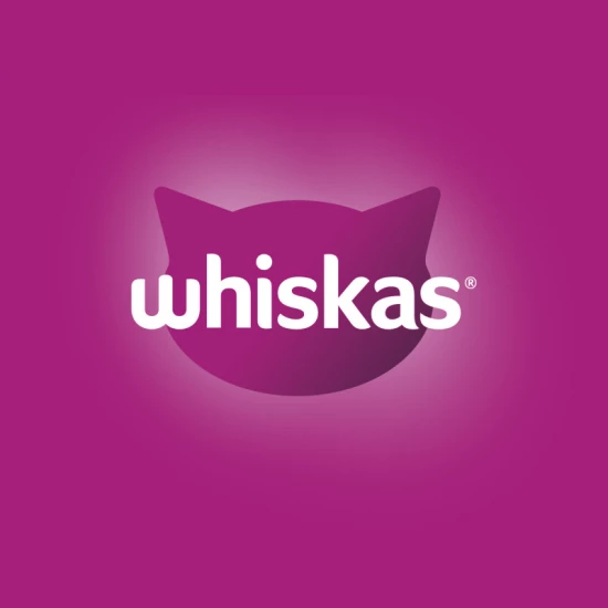 Whiskas alutasak Multipack húsos mártásban JUNIOR 4x85g - Image 2
