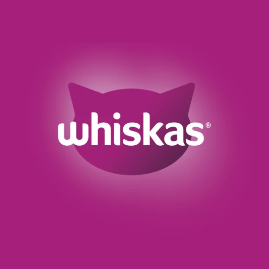 Whiskas Junior macskaeledel csirkével 300g - Image 2