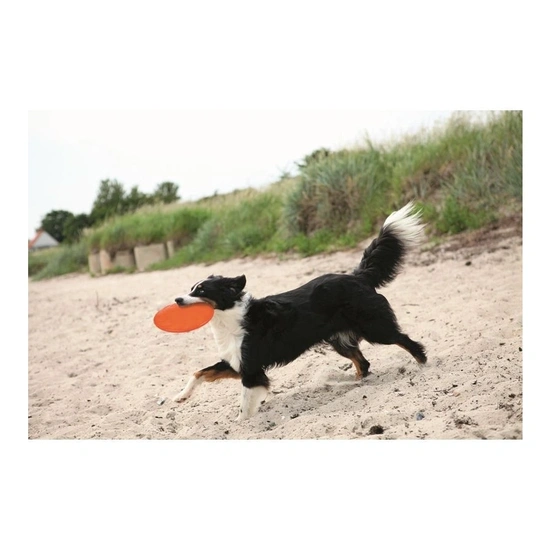 Trixie Játék Dog Disc Hőre Lágyuló - Image 5