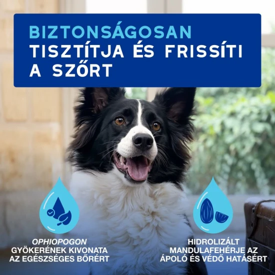 Douxo Spa Lemosást nem igénylő frissítő hab kutyáknak 150ml - Image 2