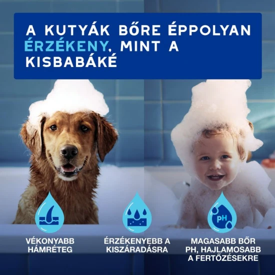 Douxo Spa Lemosást nem igénylő frissítő hab kutyáknak 150ml - Image 3