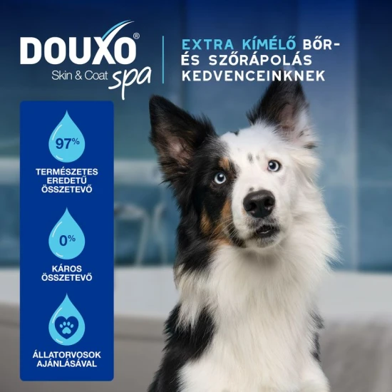 Douxo Spa Lemosást nem igénylő frissítő hab kutyáknak 150ml - Image 4