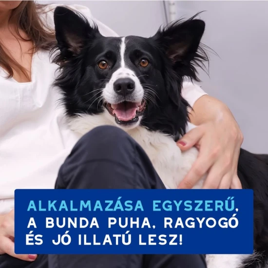 Douxo Spa Lemosást nem igénylő frissítő hab kutyáknak 150ml - Image 7