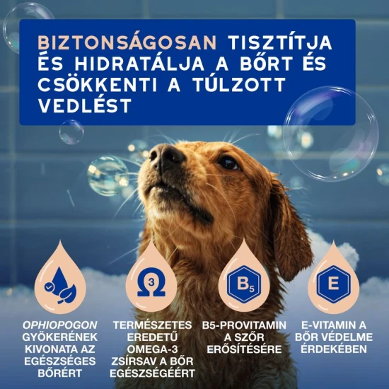 Douxo Spa Vedléscsökkentő sampon kutyáknak 250ml - Image 2