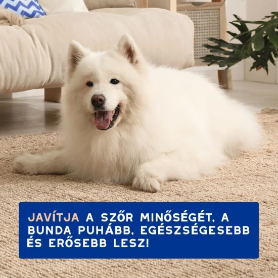 Douxo Spa Vedléscsökkentő sampon kutyáknak 250ml - Image 7