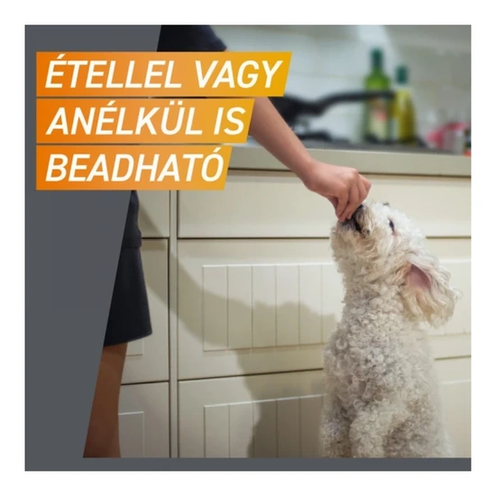 Frontpro 28,3 mg rágótabletta 4-10 kg 3X - Image 12