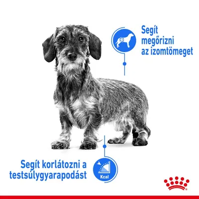 Royal Canin Mini Light Weight Care 3kg Kutya - Image 2