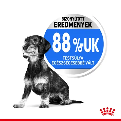 Royal Canin Mini Light Weight Care 3kg Kutya - Image 6