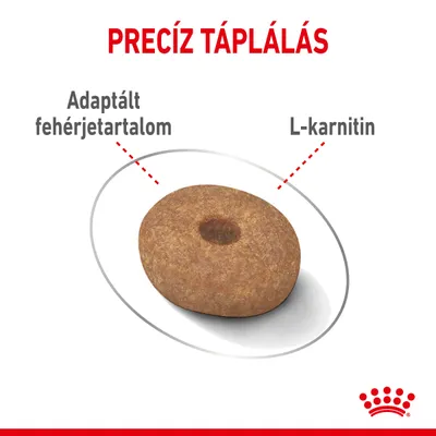 Royal Canin Mini Light Weight Care 3kg Kutya - Image 5