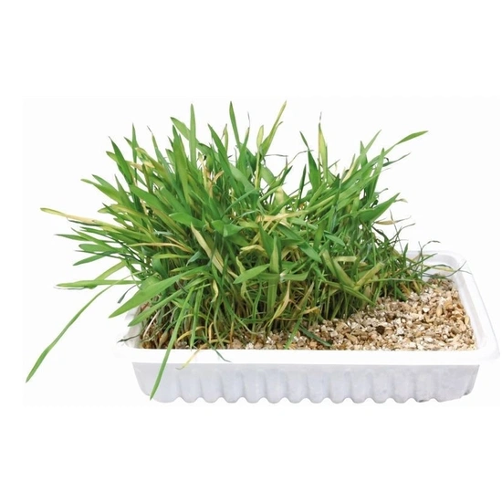 Trixie Macskafű Dobozos 100g - Image 3