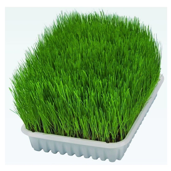 Trixie Macskafű Kölyök Macskának 100g - Image 3