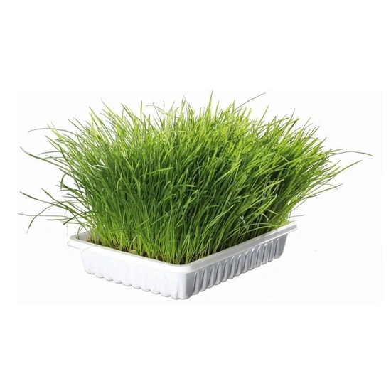 Trixie Macskafű Kölyök Macskának 100g - Image 5