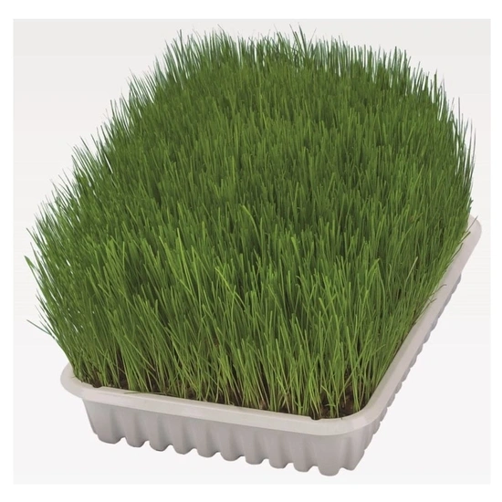 Trixie Macskafű Kölyök Macskának 100g - Image 6