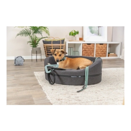 Trixie Nyakörv Citystyle PVC M 35-42cm/20mm zsálya - Image 23