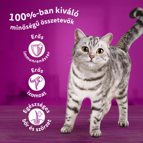 Whiskas alutasak Multipack halas-húsos válogatás 40x85g - Image 4