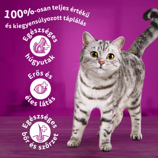 Whiskas alutasak Multipack Tasty Mix Krémes kreációk 4x85g - Image 6