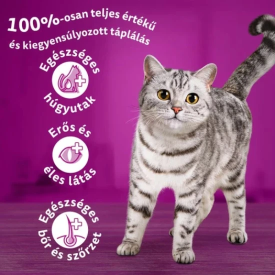 Whiskas alutasak Tasty Mix Krémes kreációk 12x85g Multipack - Image 4