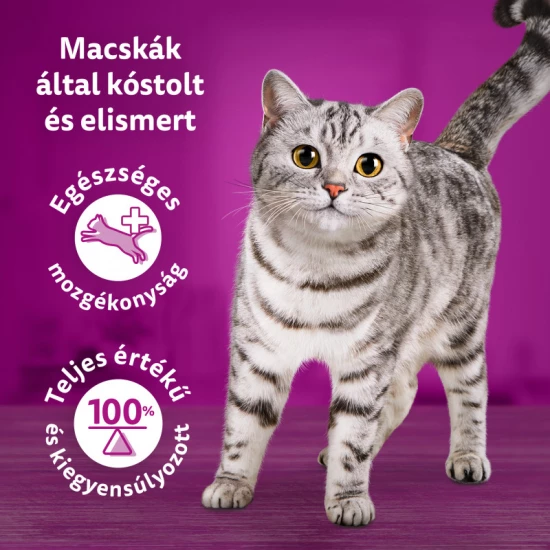 Whiskas alutasak Multipack Tasty Mix Chef´s choice mártásban 4x85g - Image 6